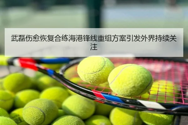 武磊伤愈恢复合练海港锋线重组方案引发外界持续关注